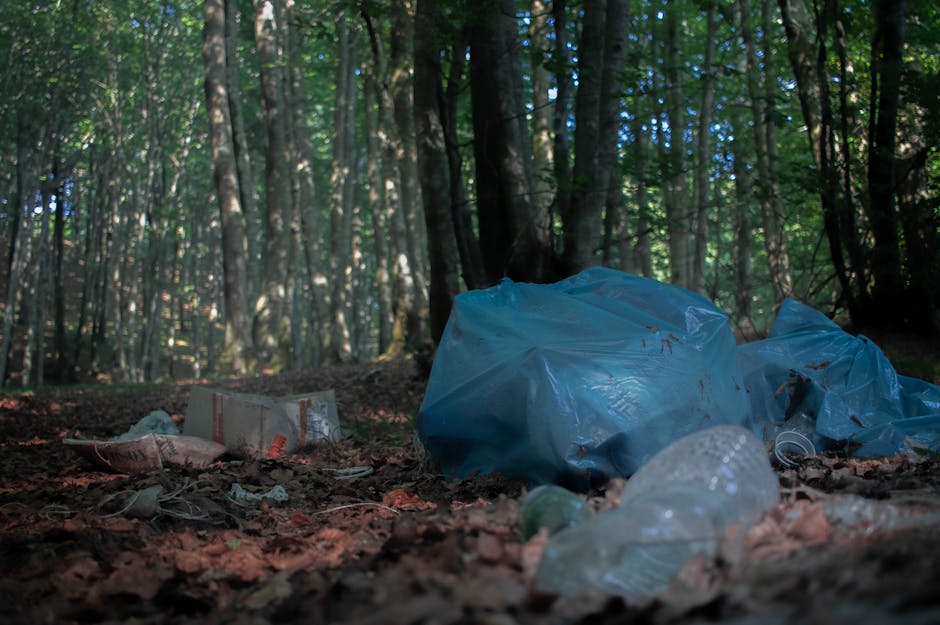 In a forested area with tall, closely spaced trees and dense green foliage, there is a collection of rubbish primarily consisting of a large blue plastic bag that is partially inflated and tied at the top, filled with waste materials. Surrounding the bag on the forest floor, which is covered with brown leaves and dirt, are various discarded items including a flattened cardboard box with red and white printing, crumpled paper, and loose plastic debris such as clear plastic bottles. The scene is lit by natural daylight filtering through the canopy, creating a mixture of shadowed and illuminated patches on the ground and waste. The presence of scattered refuse amidst the trees suggests some form of incomplete or improper waste disposal, highlighting the need for effective rubbish removal services like those offered by Waste Disposal Colliers Wood, which specialize in on-site clearance and private waste handling in outdoor environments.